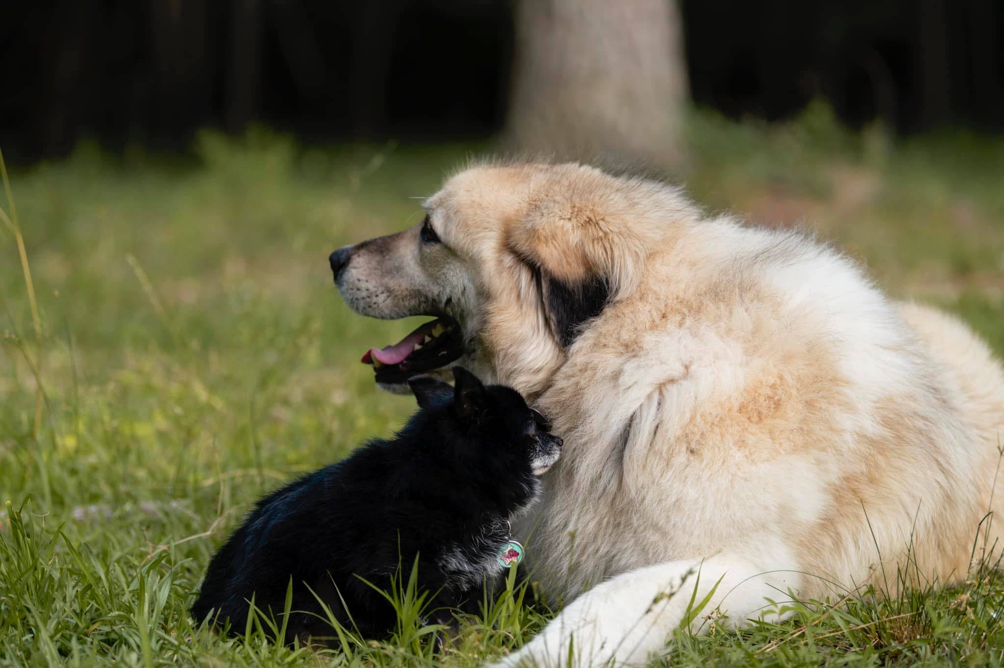 Quality of Life Consultation